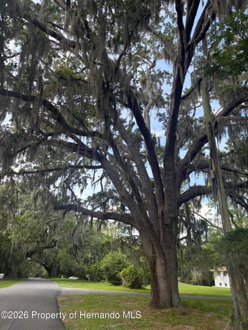 0 S Mildred Avenue, Brooksville, FL 34601