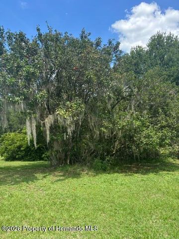 0 S Mildred Avenue, Brooksville, FL 34601