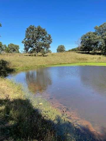 3917 County Road 4220, West Plains, MO 65775