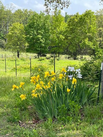 3917 County Road 4220, West Plains, MO 65775