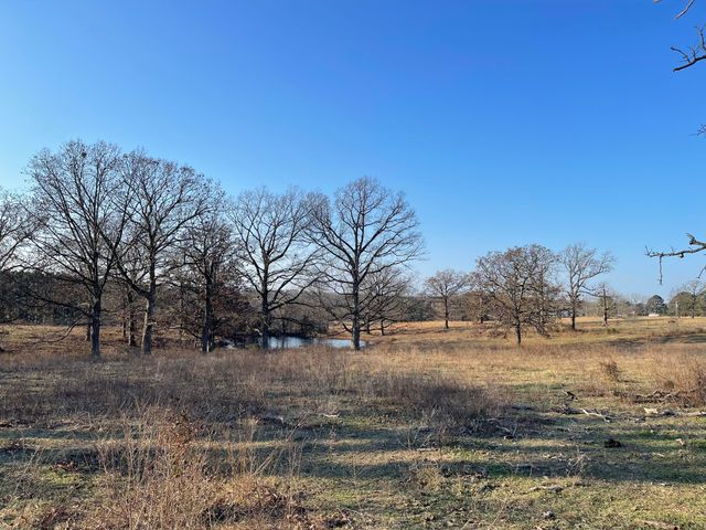 3917 County Road 4220, West Plains, MO 65775