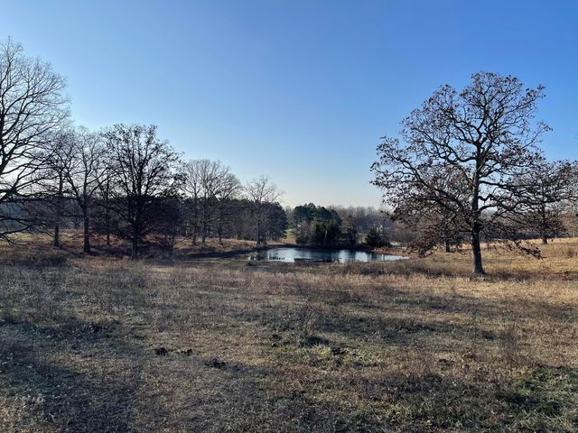 3917 County Road 4220, West Plains, MO 65775