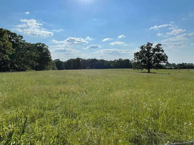 3917 County Road 4220, West Plains, MO 65775