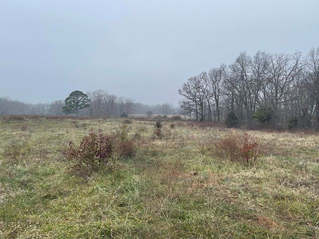 3917 County Road 4220, West Plains, MO 65775