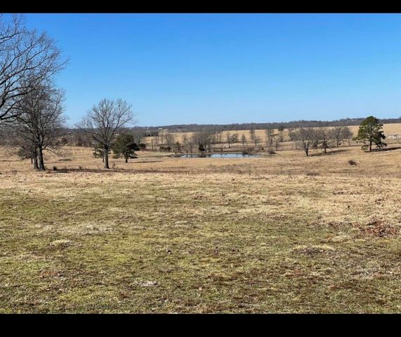 3917 County Road 4220, West Plains, MO 65775