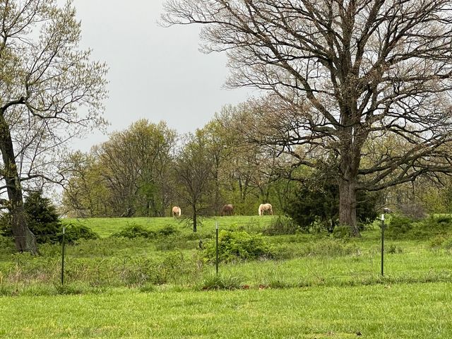 3917 County Road 4220, West Plains, MO 65775