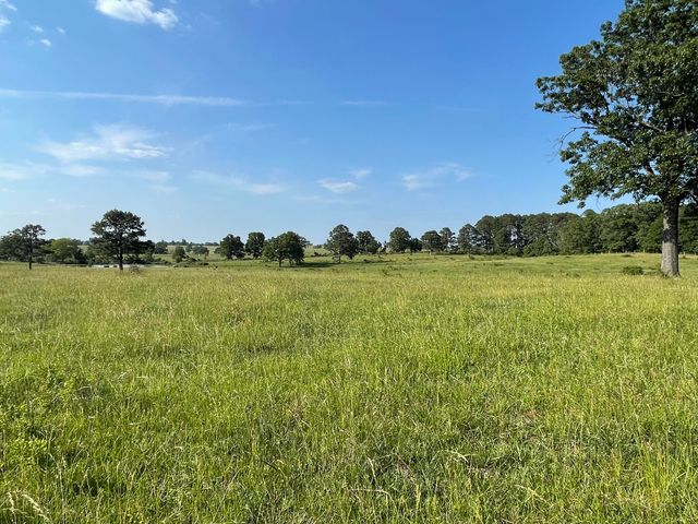 3917 County Road 4220, West Plains, MO 65775