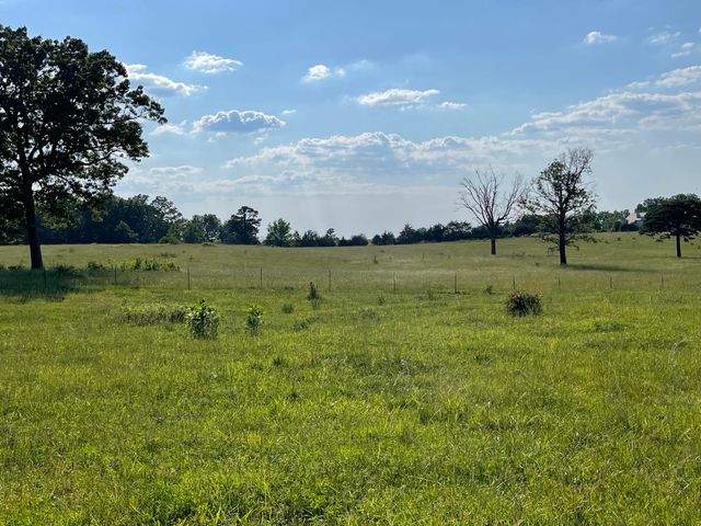 3917 County Road 4220, West Plains, MO 65775