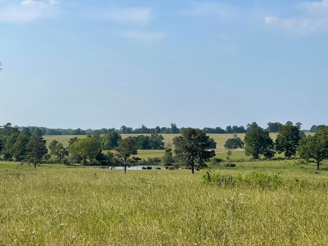 3917 County Road 4220, West Plains, MO 65775