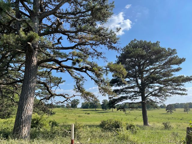 3917 County Road 4220, West Plains, MO 65775