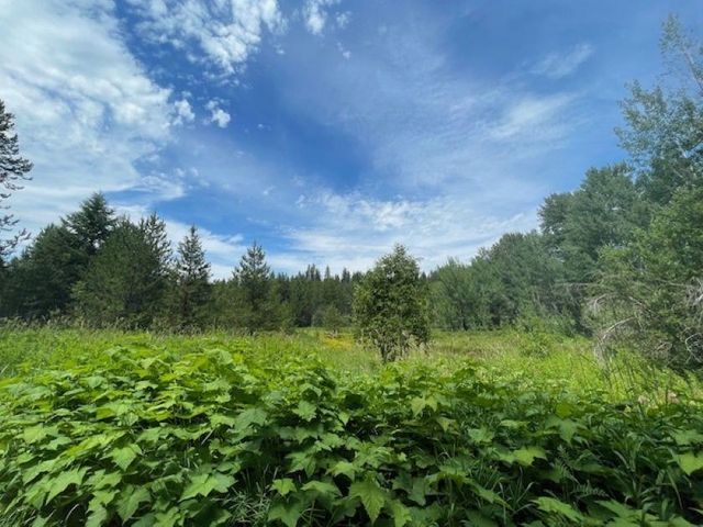 600 Huntley Ln, Newport, WA 99156