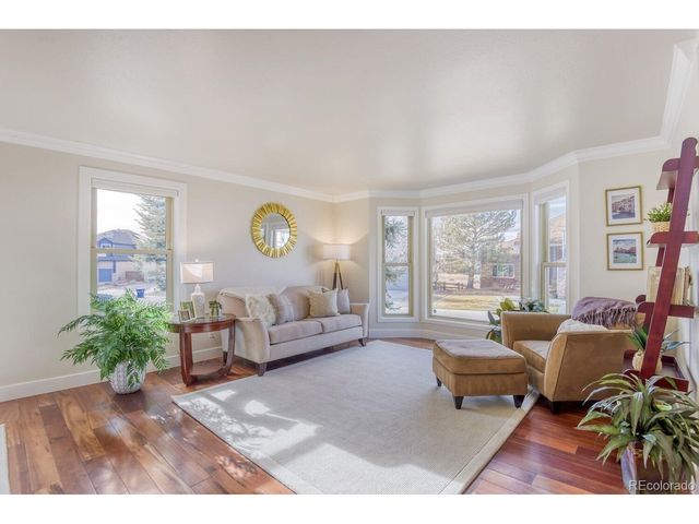 10048 Cottoncreek Dr, Highlands Ranch, CO 80130