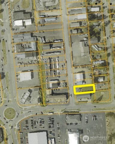 704 Seahorse Avenue NE, Ocean Shores, WA 98569