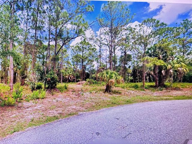 TASCO LOTS 2,3, & 4 DRIVE, North Port, FL 34291