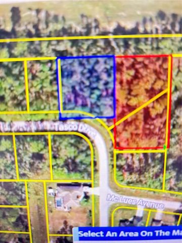 TASCO LOTS 2,3, & 4 DRIVE, North Port, FL 34291
