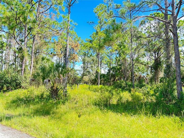 TASCO LOTS 2,3, & 4 DRIVE, North Port, FL 34291