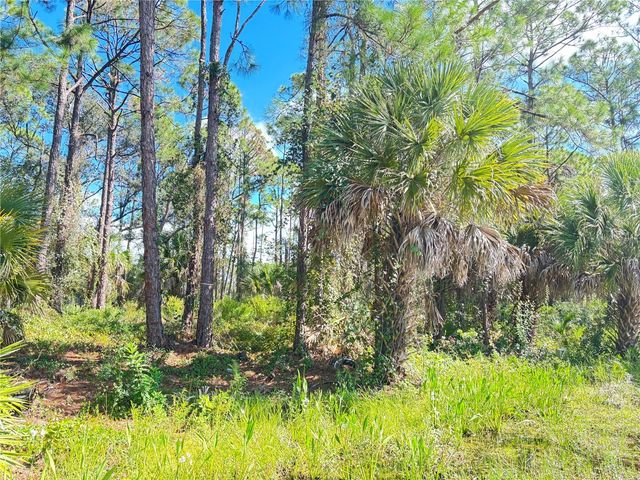 TASCO LOTS 2,3, & 4 DRIVE, North Port, FL 34291