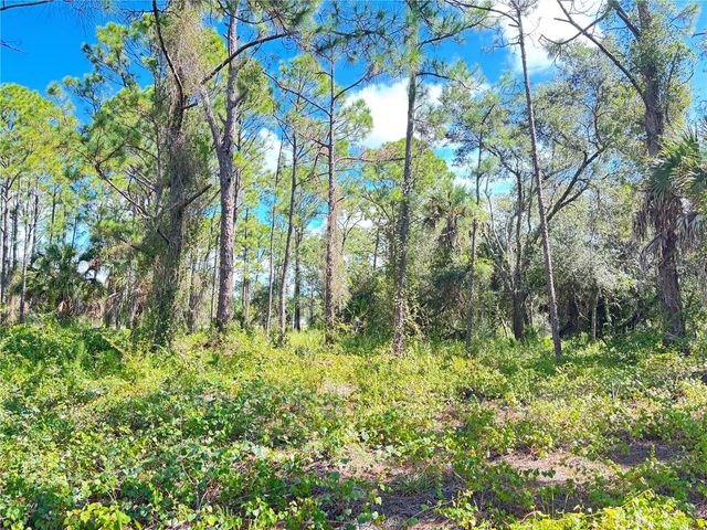 TASCO LOTS 2,3, & 4 DRIVE, North Port, FL 34291