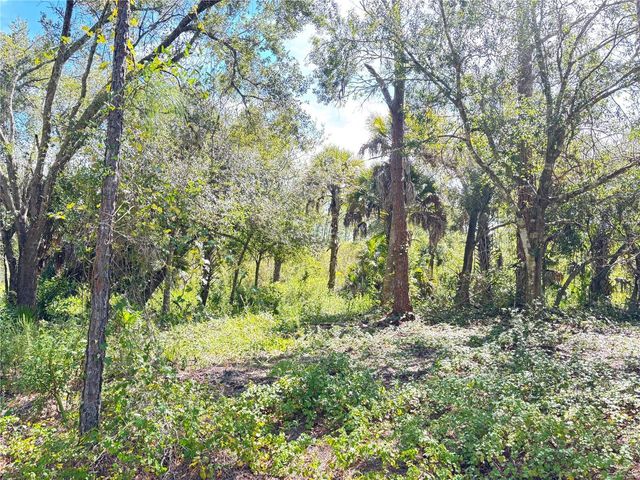 TASCO LOTS 2,3, & 4 DRIVE, North Port, FL 34291