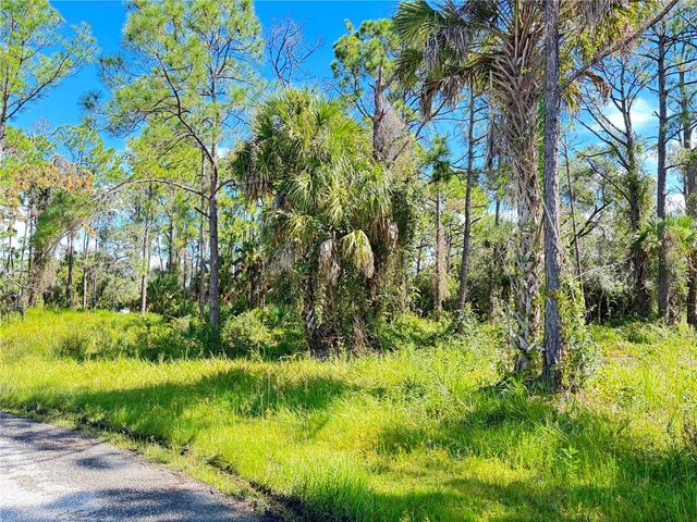 TASCO LOTS 2,3, & 4 DRIVE, North Port, FL 34291