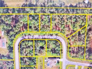 TASCO LOTS 2,3, & 4 DRIVE, North Port, FL 34291