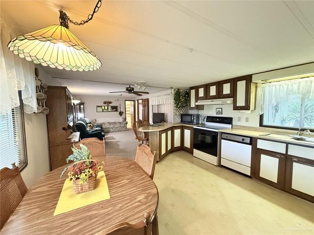 331 Windmill Palm Street 8, Alamo, TX 78516