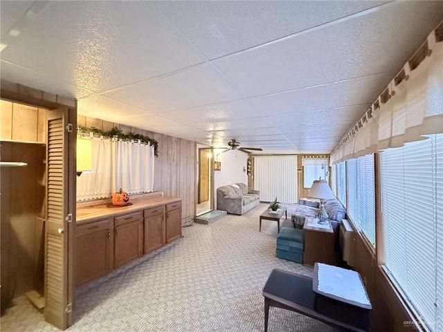 331 Windmill Palm Street 8, Alamo, TX 78516