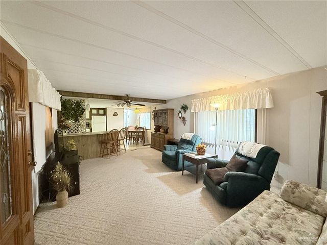 331 Windmill Palm Street 8, Alamo, TX 78516