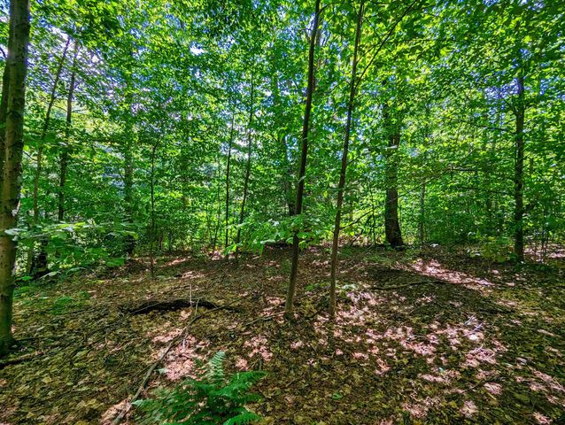 00 German Flats Road, Warren, VT 05674