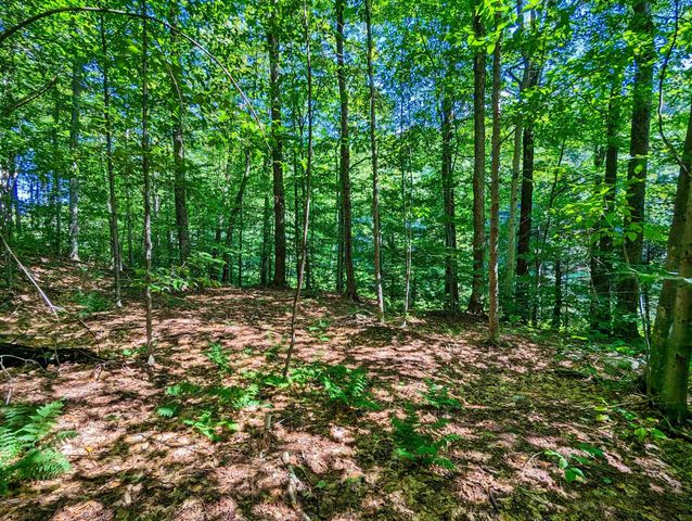 00 German Flats Road, Warren, VT 05674