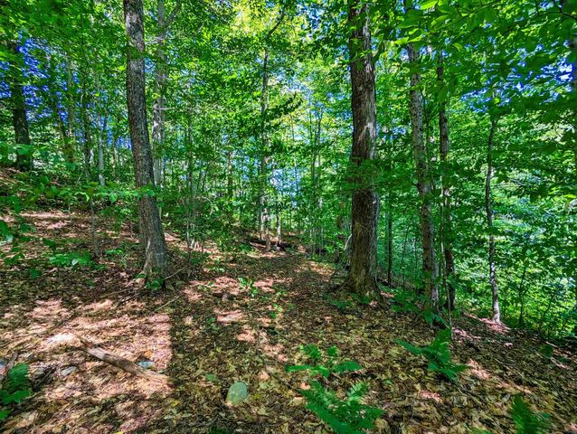 00 German Flats Road, Warren, VT 05674