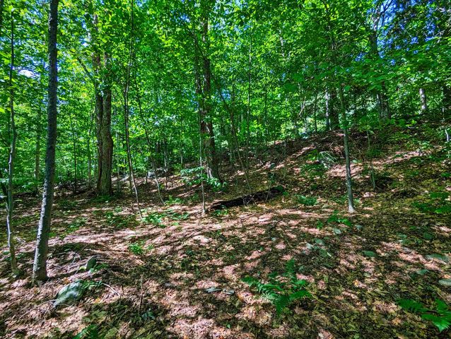 00 German Flats Road, Warren, VT 05674