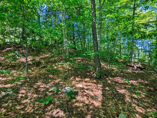 00 German Flats Road, Warren, VT 05674