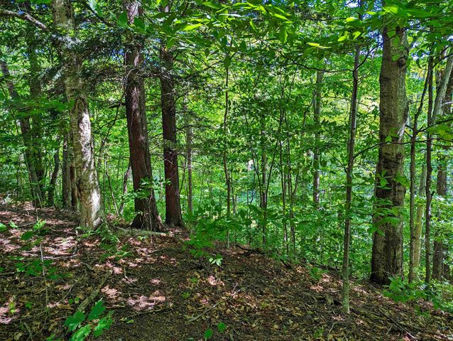 00 German Flats Road, Warren, VT 05674