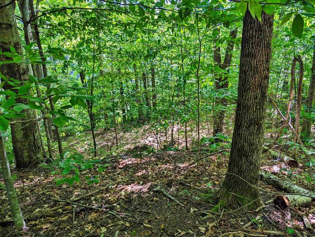 00 German Flats Road, Warren, VT 05674