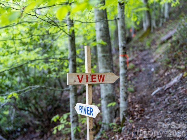 31 Caddis Court, Marshall, NC 28753