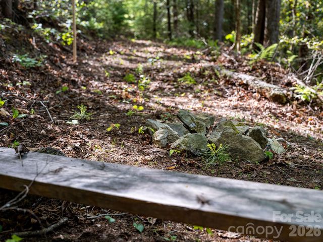 31 Caddis Court, Marshall, NC 28753