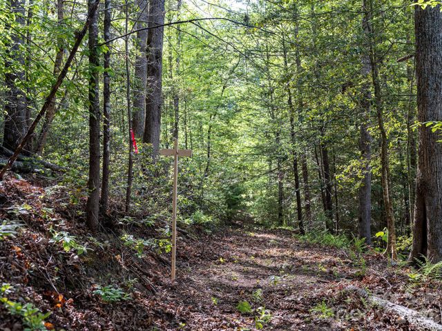 31 Caddis Court, Marshall, NC 28753