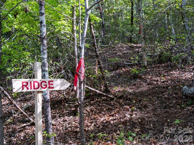 31 Caddis Court, Marshall, NC 28753
