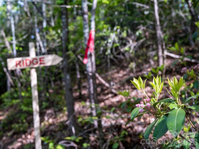 31 Caddis Court, Marshall, NC 28753