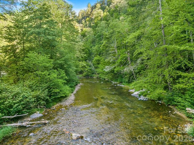 31 Caddis Court, Marshall, NC 28753