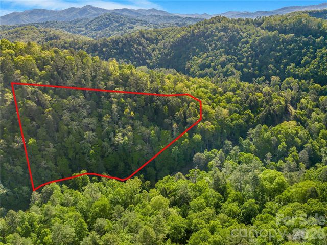 31 Caddis Court, Marshall, NC 28753