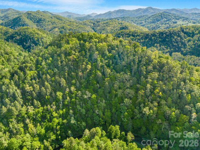31 Caddis Court, Marshall, NC 28753