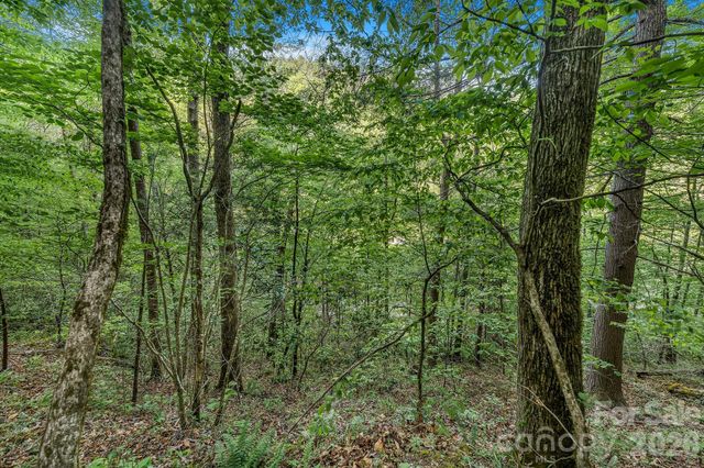 31 Caddis Court, Marshall, NC 28753