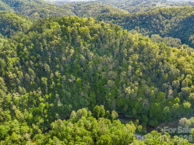 31 Caddis Court, Marshall, NC 28753