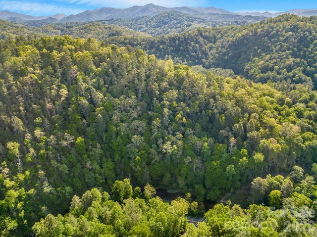 31 Caddis Court, Marshall, NC 28753