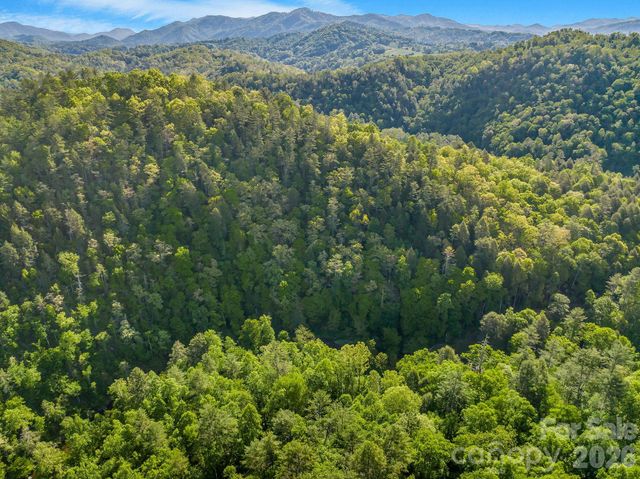 31 Caddis Court, Marshall, NC 28753