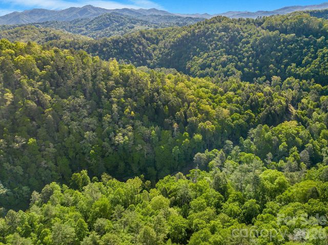 31 Caddis Court, Marshall, NC 28753