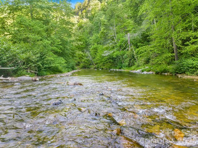 31 Caddis Court, Marshall, NC 28753