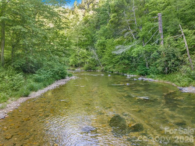 31 Caddis Court, Marshall, NC 28753